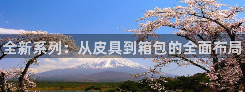 卧龙娱乐气垫项目投资