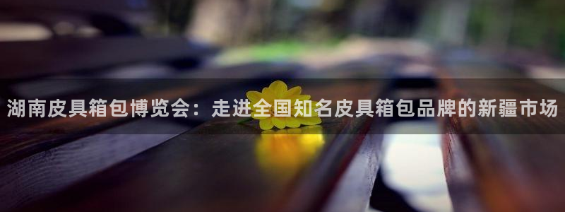 娱乐卧龙凤雏