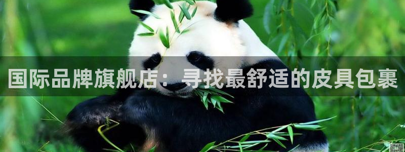 卧龙娱乐怎么注册会员