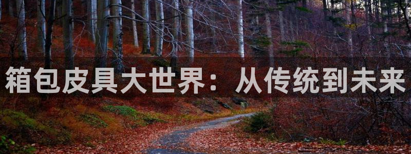 卧龙娱乐注册账号