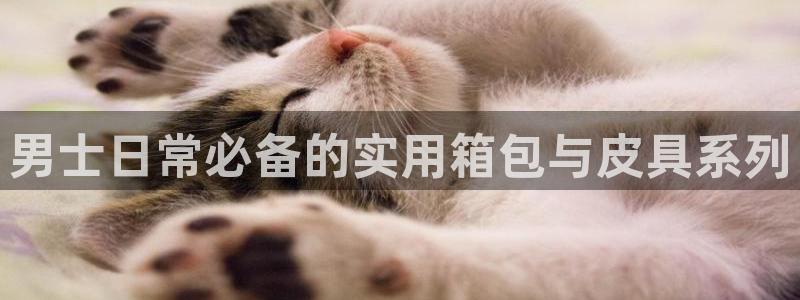 hr娱乐 扣卧龙60447