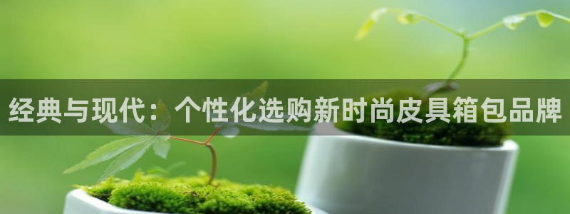 j卧龙娱乐