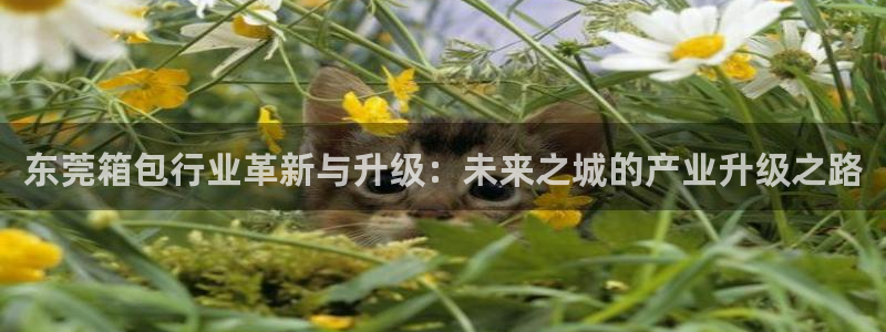 卧龙娱乐招商代理怎么样