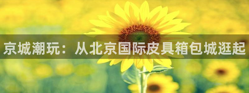 卧龙娱乐地址