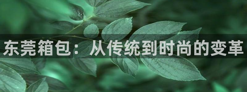 卧龙娱乐软件