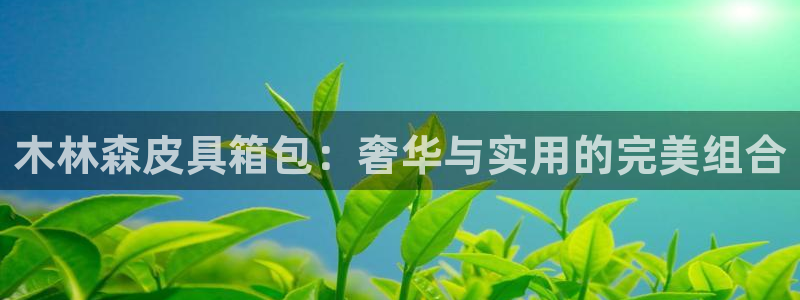 卧龙娱乐彩票中奖