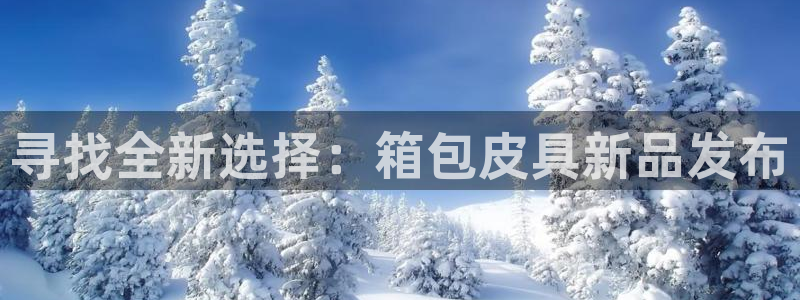 卧龙娱乐主管招聘