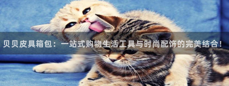 娱乐卧龙