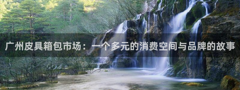 卧龙娱乐主管