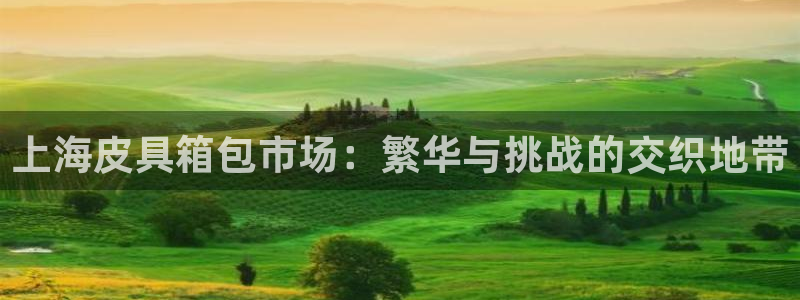 卧龙娱乐注册登录网址