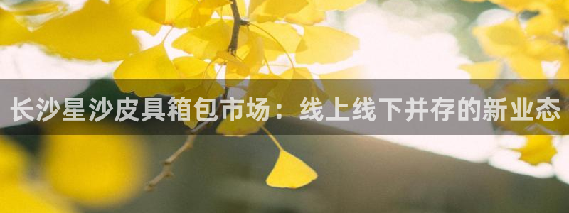 卧龙娱乐主管招聘信息