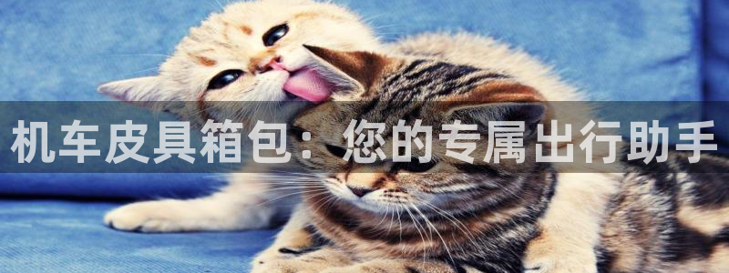 卧龙水上娱乐