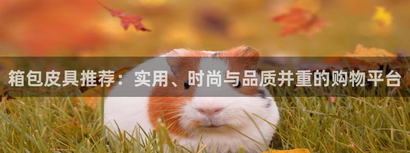肥羊娱乐卧龙凤雏