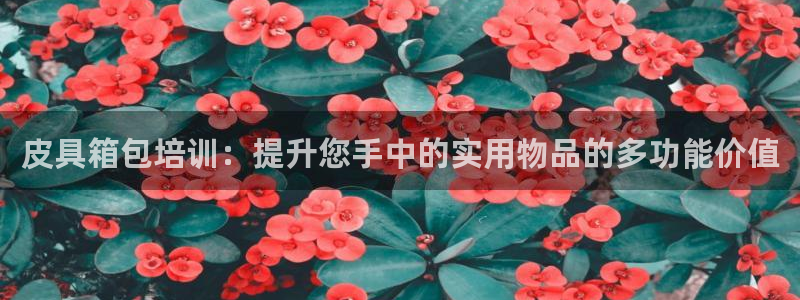 wow卧龙娱乐集团