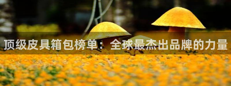 卧龙娱乐不出款了吗