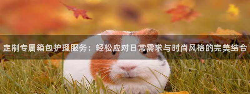 柏林娱乐 044 卧龙