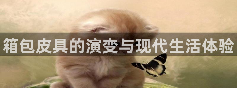 卧龙娱乐招商代理电话