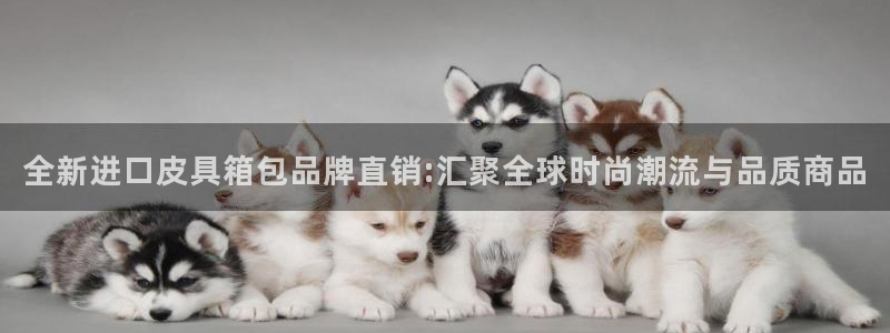 南阳卧龙娱乐会所评价